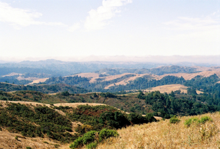 [Some areas are covered with greenery, but others are just wheat-colored grasses and the hills and dales seem to be a haphazard layout in this area.]